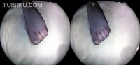 [Ligui丽柜] 2020.01.21 VR视频《职场新秀》淼淼 [1V-525M]_5