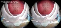 [Ligui丽柜] 2020.02.08 VR视频《双生花-团团圆圆》潘潘&洋洋 [1V-447M]_2