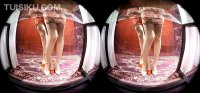 [Ligui丽柜] 2020.02.08 VR视频《双生花-团团圆圆》潘潘&洋洋 [1V-447M]_1