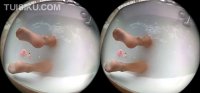 [Ligui丽柜] 2020.03.26 VR视频《乳浴香肌》安娜 [1V-136M]_4