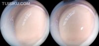[Ligui丽柜] 2020.03.26 VR视频《乳浴香肌》安娜 [1V-136M]_6