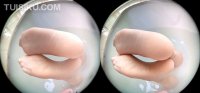 [Ligui丽柜] 2020.03.26 VR视频《乳浴香肌》安娜 [1V-136M]_5