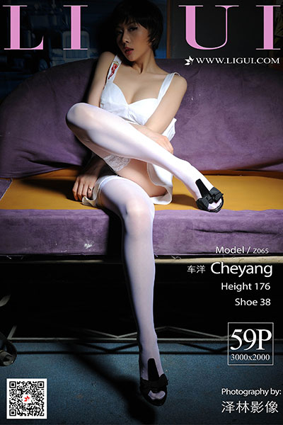 [Ligui丽柜] 2020.04.15 车洋 [59+1P-27M]