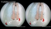[Ligui丽柜] 2021.02.25 VR视频《莲浴冰肌》妖妖 [1V-413M]_6