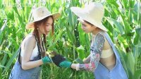[Ligui丽柜] 2022.08.05 HD视频《七夕-田园春色》甜甜&心心 [1V-663M]_1