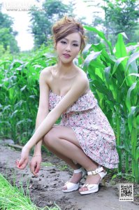 [Ligui丽柜] 2024.10.14 《乡间倩影》童蕾 [71+1P-79M]_1