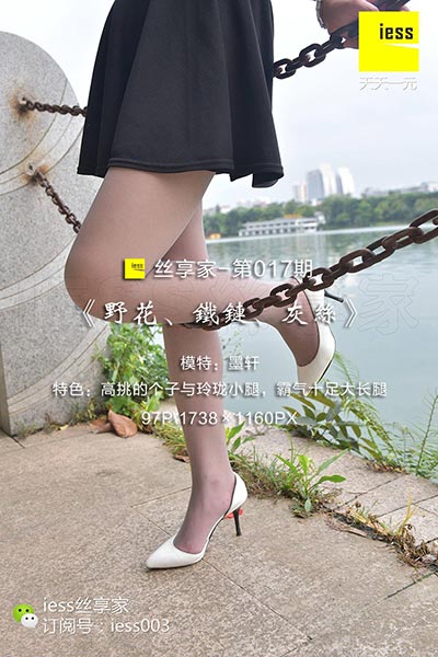 [IESS异思趣向] 2017.07.07 丝享家017：《野花、铁链、灰丝》墨轩 [96P-112M]