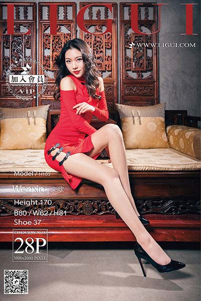 [Ligui丽柜] 2017.01.27 网络丽人 Model 文欣 [29P-35M]
